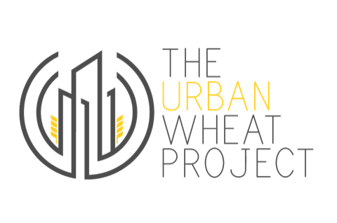 The Urban Wheat Project